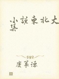 小说东北大炕全集