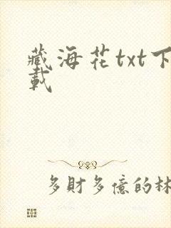 藏海花txt下载