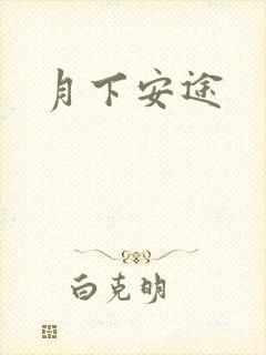 月下安途