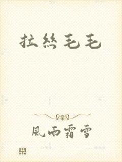 拉丝毛毛
