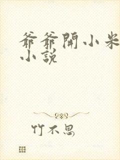 爷爷开小米的包小说