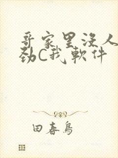 哥家里没人使点劲C我软件