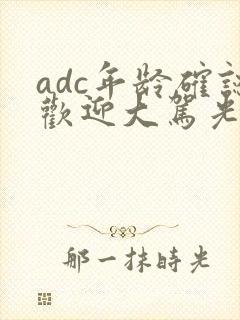 adc年龄确认欢迎大驾光临小说