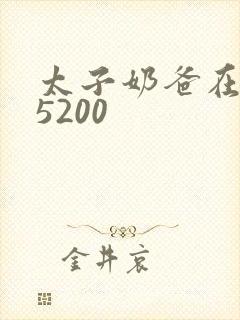 太子奶爸在花都5200