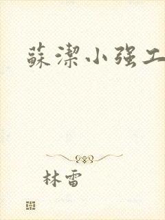 苏洁小强工地情