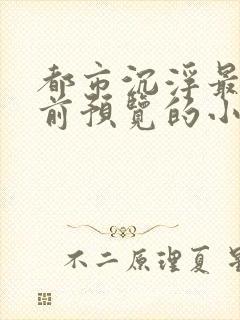 都市沉浮最快超前预览的小说3030