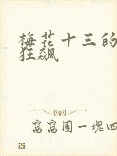 梅花十三的乳液狂飙