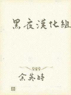 黑夜汉化组