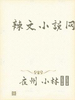 辣文小说网