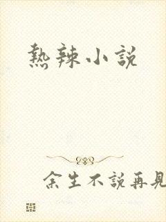 热辣小说