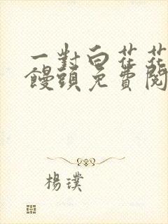 一对白花花的大馒头免费阅读