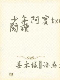 少年阿宾txt阅读