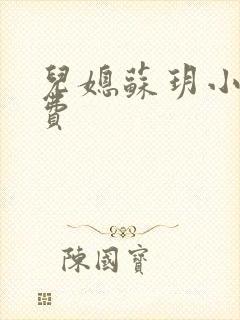 儿媳苏玥小说免费