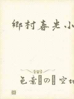 乡村春光小说