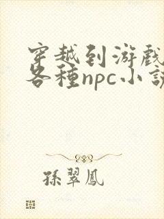 穿越到游戏里和各种npc小说