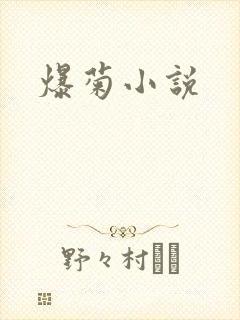 爆菊小说