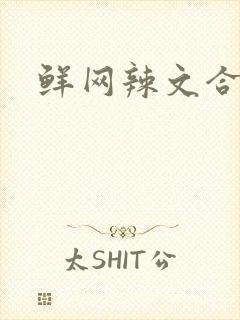 鲜网辣文合集