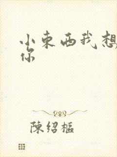 小东西我想弄坏你