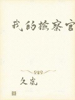 我的检察官先生