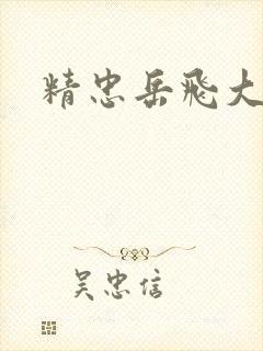 精忠岳飞大结局