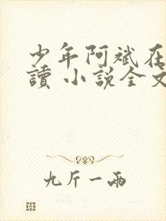 少年阿斌在线阅读 小说全文免费