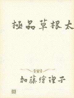 极品草根太子