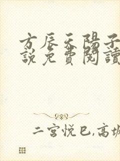 方辰天阳子的小说免费阅读