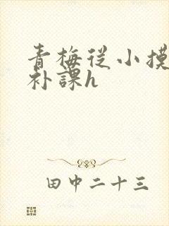 青梅从小摸到大补课h