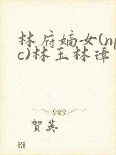 林府嫡女(npc)林玉林璋