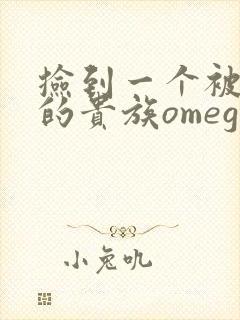 捡到一个被抹布的贵族omega