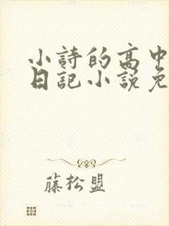 小诗的高中成长日记小说免费阅读