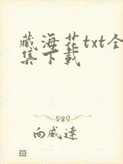 藏海花txt全集下载