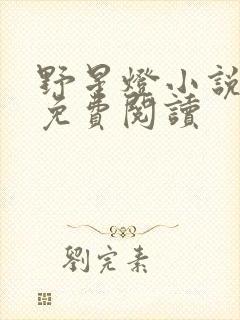 野星灯小说全文免费阅读