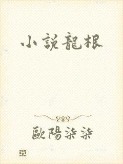 小说龙根