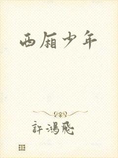 西厢少年