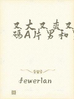 又大又爽又黄无码A片男和男