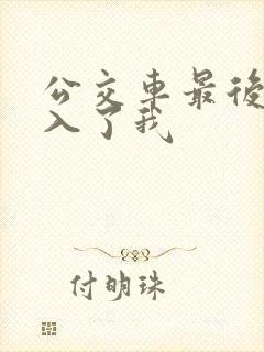 公交车最后一排入了我