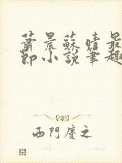 萧晨苏晴最新章节小说笔趣阁