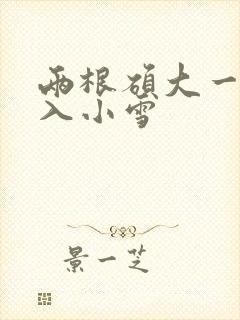 两根硕大一起挤入小雪