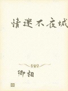 情迷不夜城