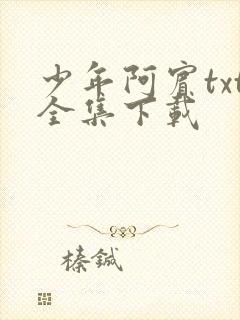 少年阿宾txt全集下载
