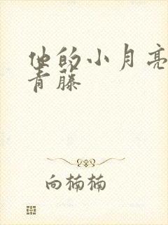 他的小月亮by青藤