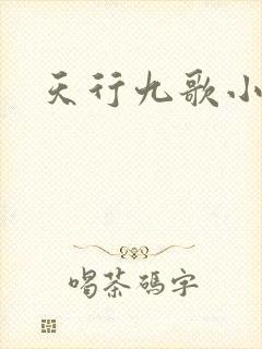 天行九歌小说