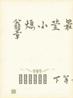 翁熄小莹最新节章