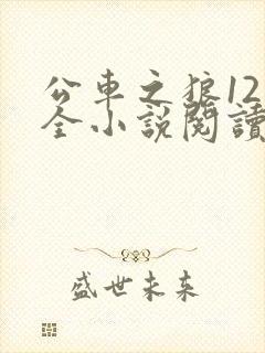 公车之狼12集全小说阅读