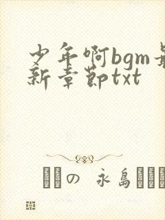 少年啊bgm最新章节txt