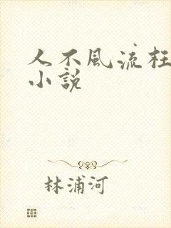 人不风流枉少年小说