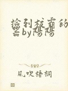 捡到校霸的遥控器by阳阳