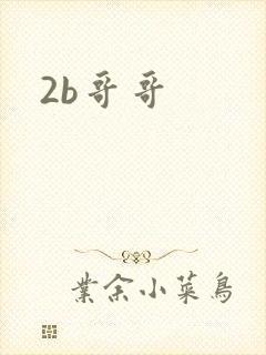 2b哥哥