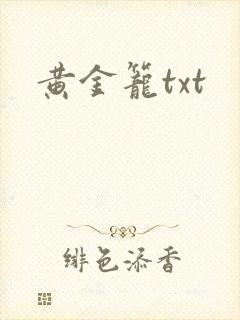 黄金笼txt